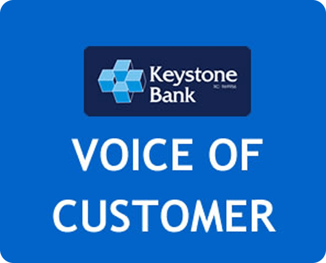 The Voice of Customer (VOC)